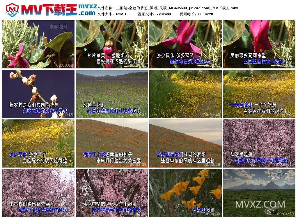 王丽达-金色的梦想_国语_民歌_MB405690